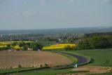 Piękne żółte rzepakowe pola nie tylko koło Głogowa. Kwitną i malują krajobraz. Zdjęcia rzepakowych pól 2022