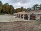 Prace remontowe i konserwatorskie w parku zamkowym w Krasiczynie [ZDJĘCIA]