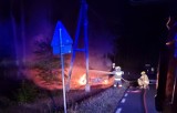 Nocny pożar samochodu oraz lasu w okolicach Świętna. Kierowcę uratowali dwaj mężczyźni