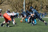 Panthers Wrocław podejmie Seahawks Gdynia 