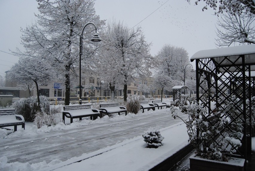 Pierwszy atak zimy. Są utrudnienia na drogach. Włoszczowa przykryta śniegiem. Zobaczcie zdjęcia