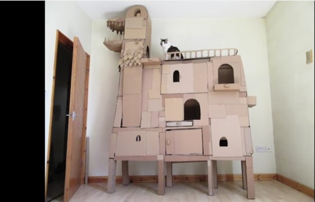 Ten kot to ma dobrze! Właściciel zrobił mu... domek z kartonów w kształcie smoka [ZDJĘCIA]