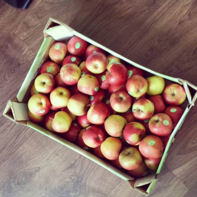 Około pół miliona polskich jabłek zostanie rozdanych na ulicach polskich miast