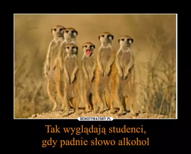 Studenci wracają na studia, a internauci się śmieją [MEMY]