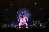 The Australian Pink Floyd zagrali w Arenie [zdjęcia]