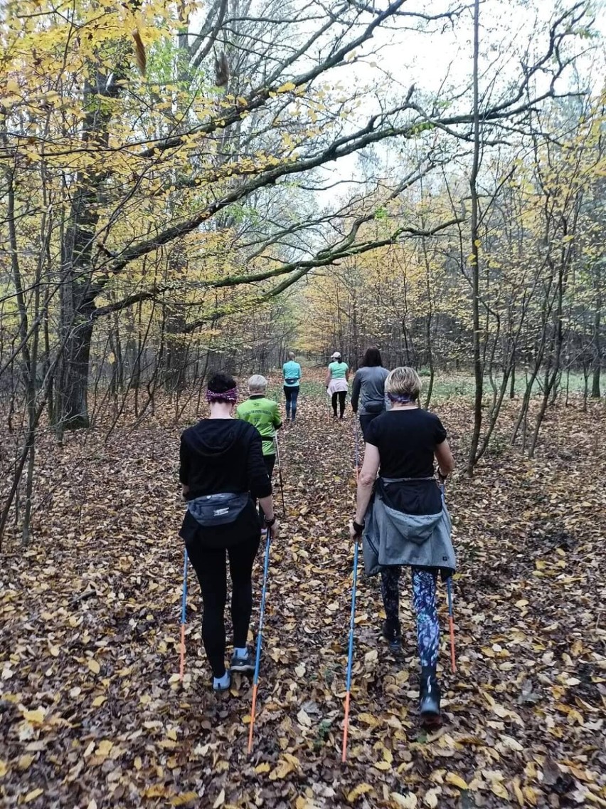 Bolące Piszczele Bełchatów grupa Nordic Walking. Grupa Zimne...