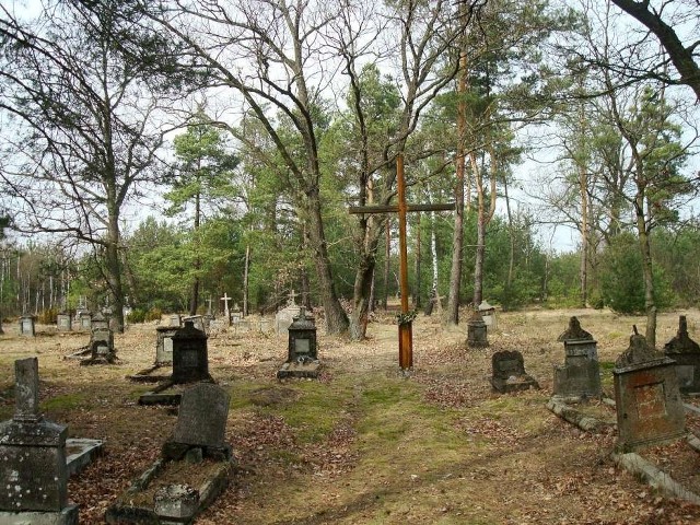 Cmentarz w Orlinie Dużej