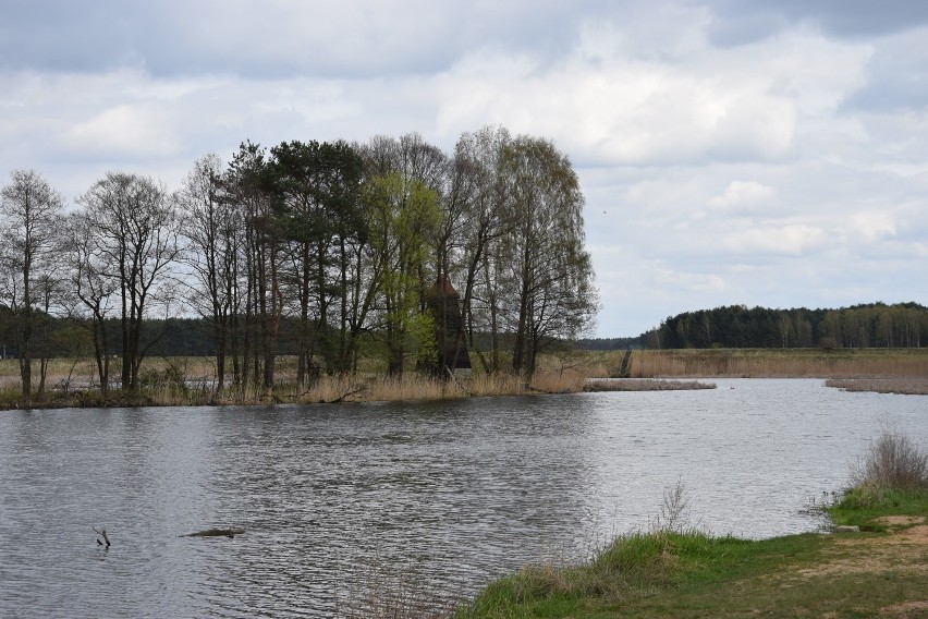 Wiatrak na wyspie w Kaletach Zielonej