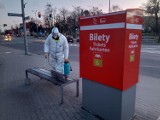 W Pruszczu i innych miejscowościach w powiecie gdańskim odbywa się dezynfekcja słupów, przystanków autobusowych i placów