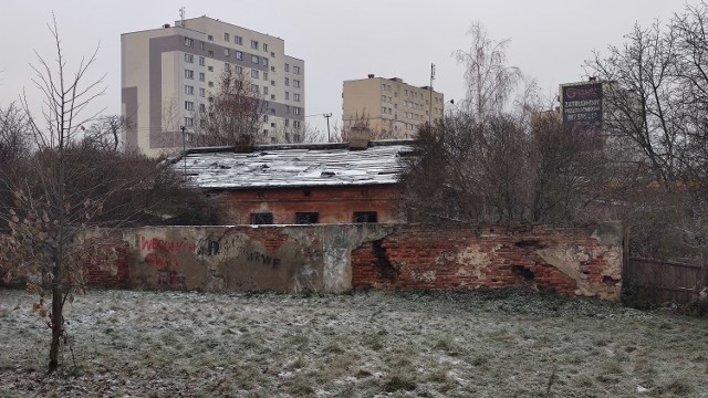 Rudera w centrum Piotrkowa - posesja jest niezabezpieczona i odwiedzana m.in. przez wandali