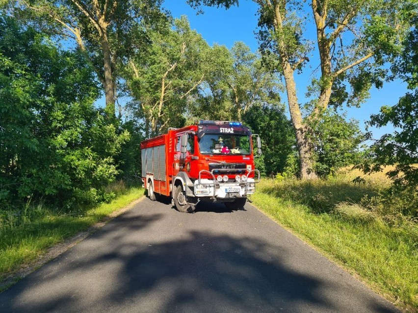 Pracowity weekend strażaków w powiecie wejherowskim (07.2022). Ponad 60 interwencji po przejściu nawałnicy | ZDJĘCIA