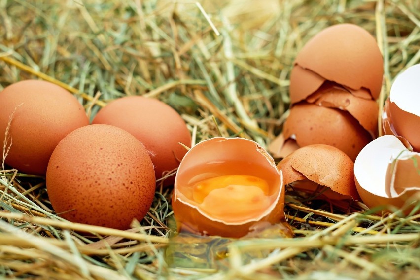 Salmonella jest bakterią, która może występować w świeżym...