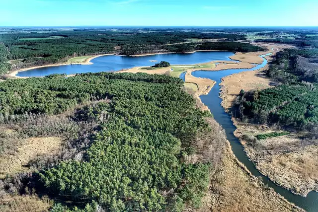 Jezioro Kopanickie to jedno z kilku jezior leżących na skraju województwa wielkopolskiego, tuż przy granicy z lubuskim. Należy do ciągu Jezior Zbąszyńskich i jest zbiornikiem przepływowym. Choć położone wśród pól i lasów jezioro ma wiele pięknych zakamarków, nie jest wykorzystywane rekreacyjnie. Właśnie tym bardziej dlatego warto zobaczyć na zdjęciach naszego Czytelnika Grzegorza Walkowskiego, jak się prezentuje z lotu ptaka. A jest co oglądać!