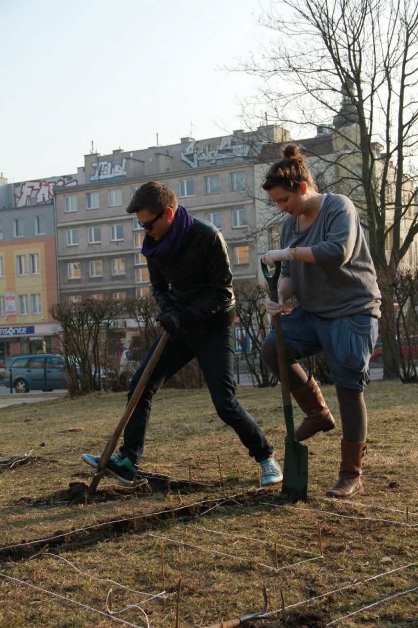 Mieszkańcy Wrzeszcza uznali, że Plac Waryńskiego powinien...