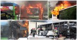 Pożar w Szczecinie. Spłonęły autobusy w bazie PKS przy ul. Heyki [ZDJĘCIA, WIDEO, AKTUALIZACJA]