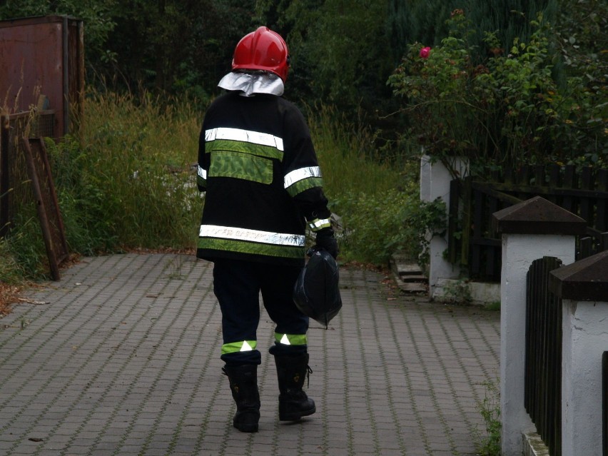 Strażak trzymający worek z szerszeniami. Fot. Mariusz Wójcik