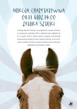 Akademia Sztuk Pięknych pomaga zwierzętom. Sopocka aukcja dla chorych koni