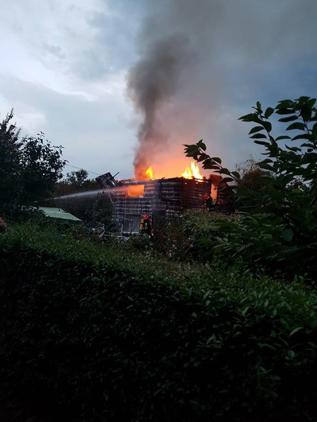 Pożar w Jastrzębiu: paliła się altana