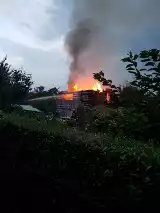 Groźny pożar na ogródkach działkowych. Zginęło 50 papug i żółw [FOTO]