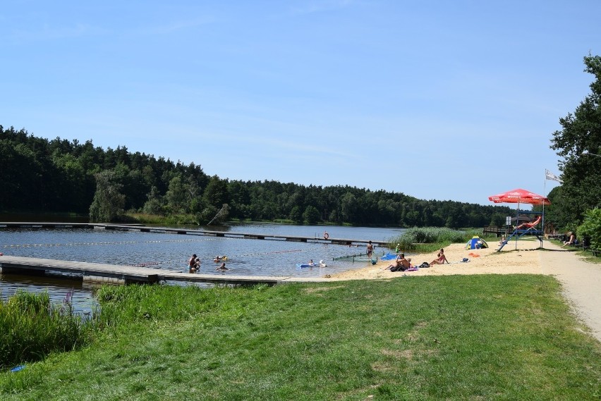 Sinice w zalewie w Kłobucku. Zakaz kąpieli na Zakrzewie
