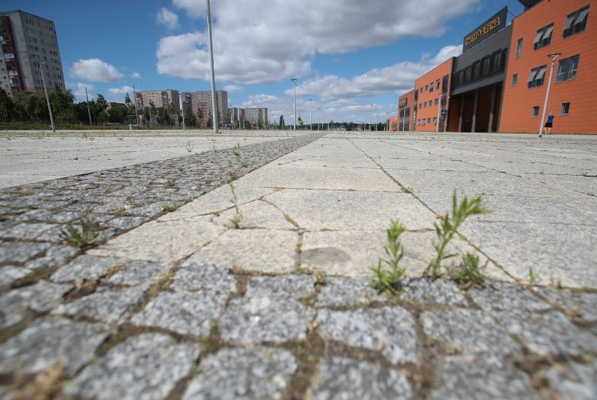 Netto Arena w Szczecinie