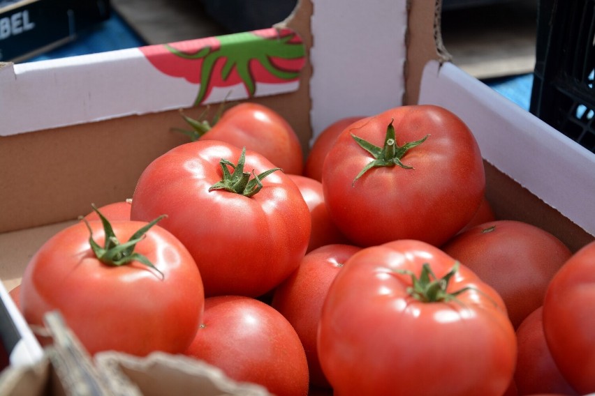Właściwości antymiażdżycowe pomidory zawdzięczają zawartemu...