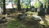 Cmentarz prawosławny w Kaliszu popada w ruinę. Tak dzisiaj wygląda zabytkowa nekropolia. ZDJĘCIA