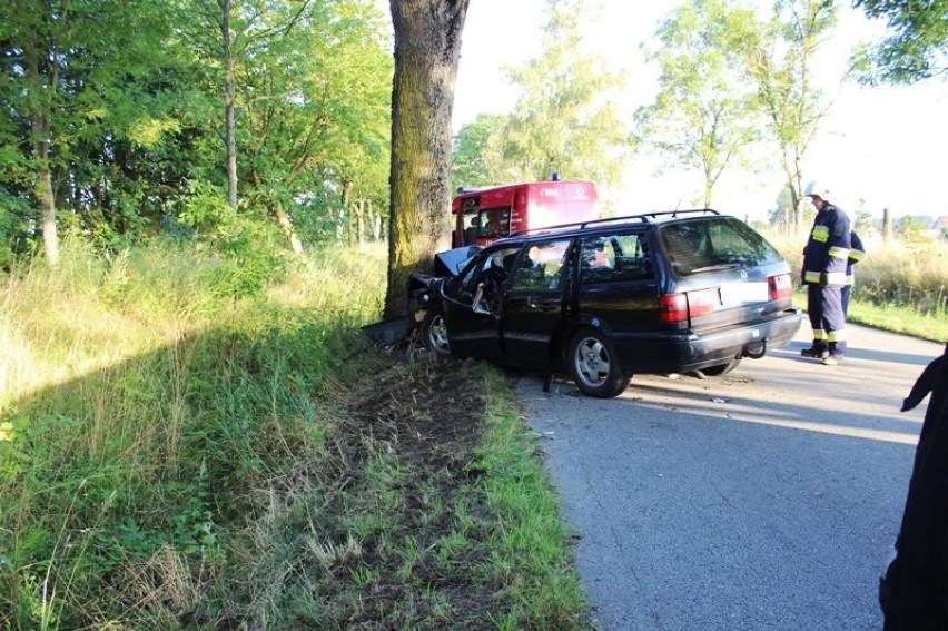 Braniewo. Volkswagen uderzył w drzewo [zdjęcia]