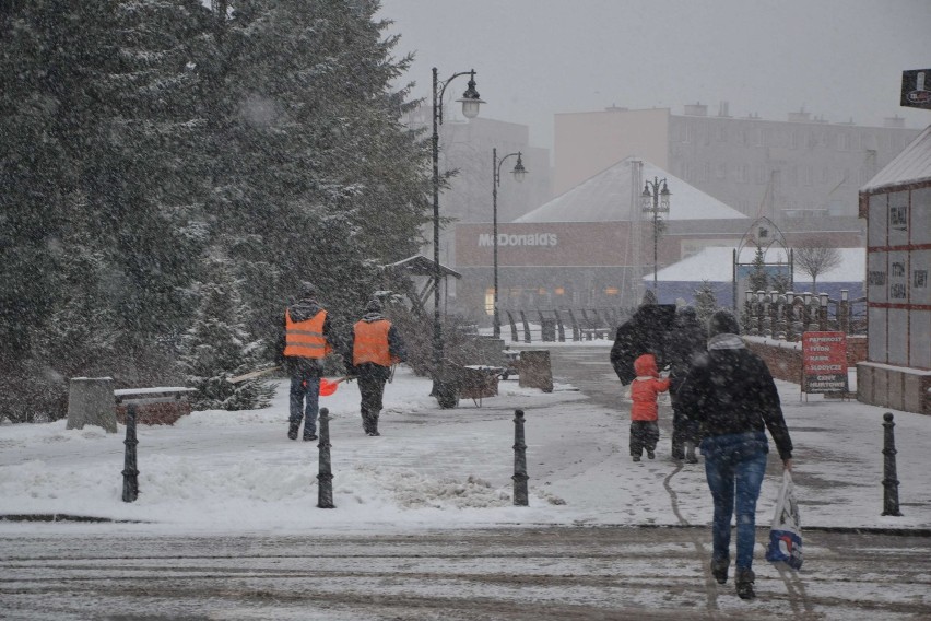 Malbork: Śnieżny piątek. Prognozy pogody się sprawdziły