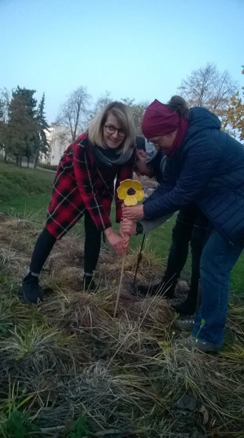 Naturalnie że natura: W parku Ostrowskiego w Chodzieży "zakwitły" ceramiczne kwiaty (FOTO)