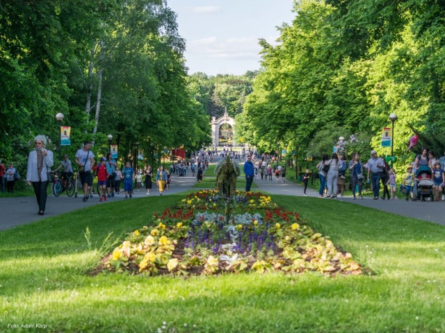 Sobota 5 czerwca w Parku Śląskim. Największa miejska oaza zieleni w regionie od lat przyciąga całe rodziny z dziećmi, szukajace tam szukające odpoczynku i rekreacji