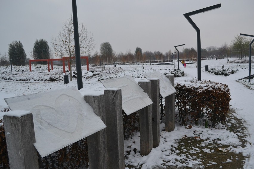 Zima w Parku Krainy Polodowcowej w Pruszczu