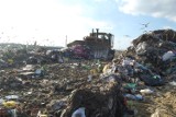 Kto będzie odbierał śmieci od mieszkańców Tczewa? Ratusz ogłosił właśnie przetarg