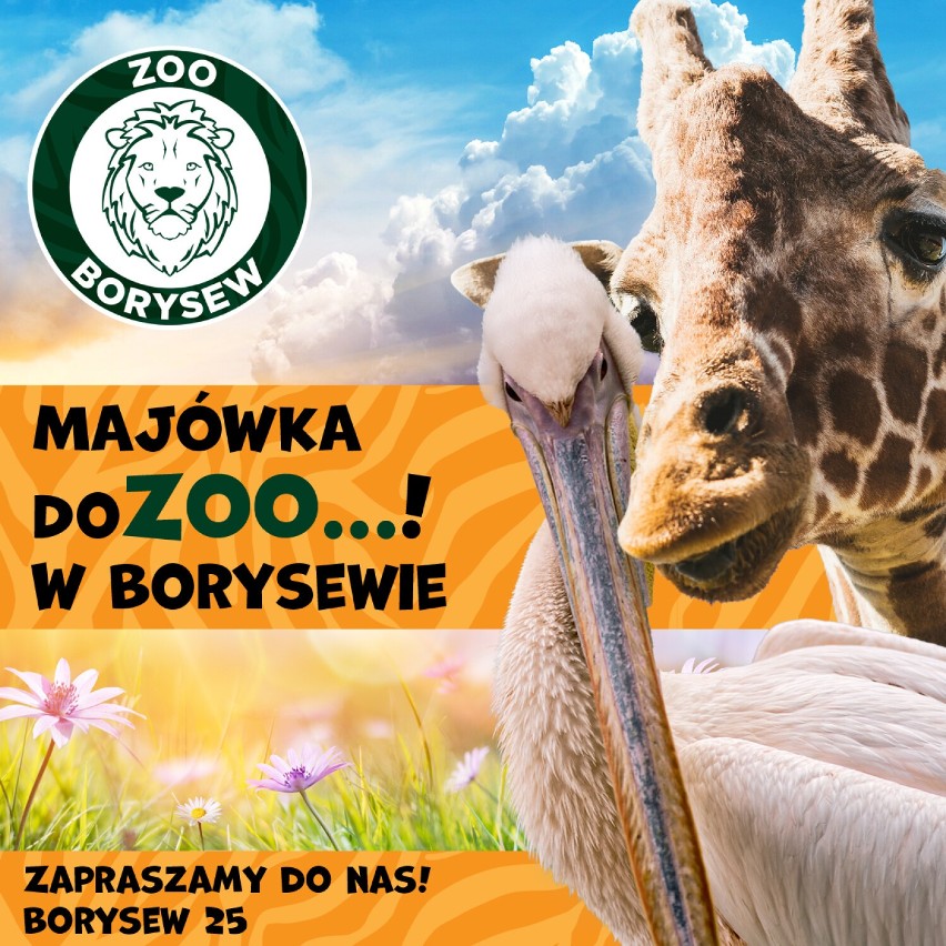 Majówka 2022 w Zoo Borysew koło Poddębic. Najmłodsi mieszkańcy, dodatkowe karmienia i godziny ZDJĘCIA