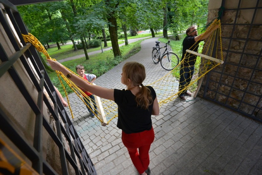 W Kielcach pletli parkowe hamaki (WIDEO, zdjęcia)