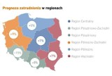 Dolny Śląsk. Szukają ludzi do pracy. W jakich branżach? Zobacz szczegóły!