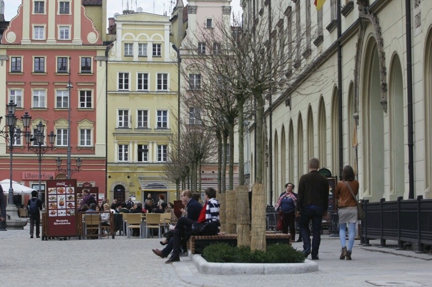 Wrocław: Drzewa i ławki wróciły na Rynek (ZDJĘCIA)