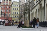 Wrocław: Drzewa i ławki wróciły na Rynek (ZDJĘCIA)