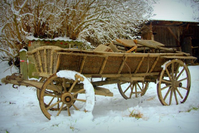 Pierwsze przyszłe eksponaty skansenu, w tym wiejski wóz, to czę­ść wy­po­sa­że­nia jed­nej z daw­nych za­gród w no­wo­huc­kich Ze­sła­wi­cach
