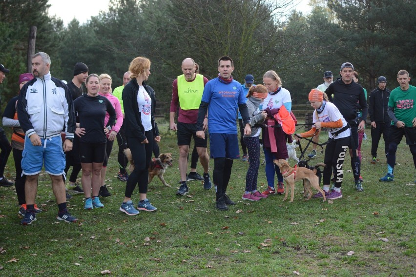 58. parkrun w Grudziądzu. Biegli dla Małgosi [zdjęcia, wideo]