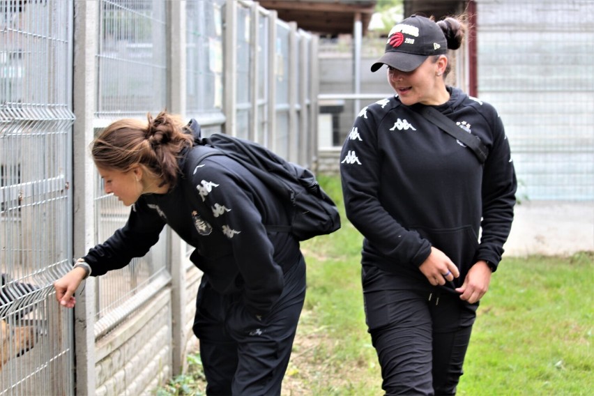 Piłkarki Medyka Konin odwiedziły schronisko dla zwierząt