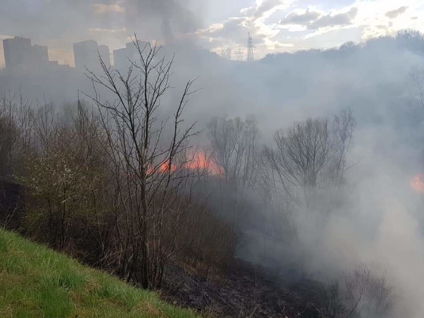 Duży pożar traw pod Strzemięcinem w Grudziądzu. W akcji sześć zastępów straży pożarnej