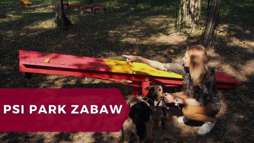 Park zabaw dla psów w Kielcach również powstał dzięki...