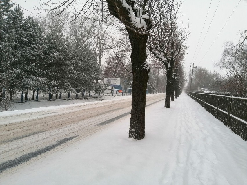 Sypnęło śniegiem w Zduńskiej Woli i będzie jeszcze sypać. Kto odśnieży ulice?