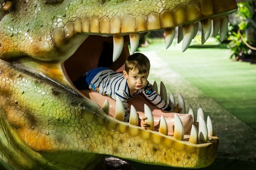 Dinopark Bydgoszcz otwarty jest dla zwiedzających od soboty,...