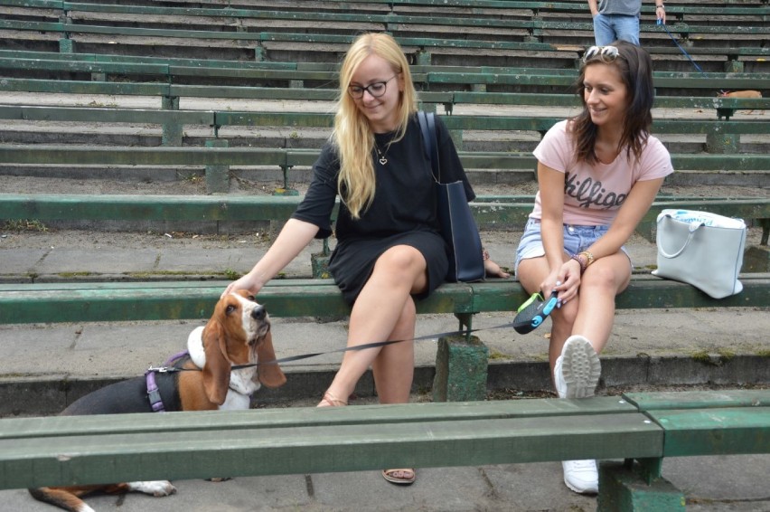 Pierwsze spotkanie miłośników zwierząt w Wejherowie [ZDJĘCIA]