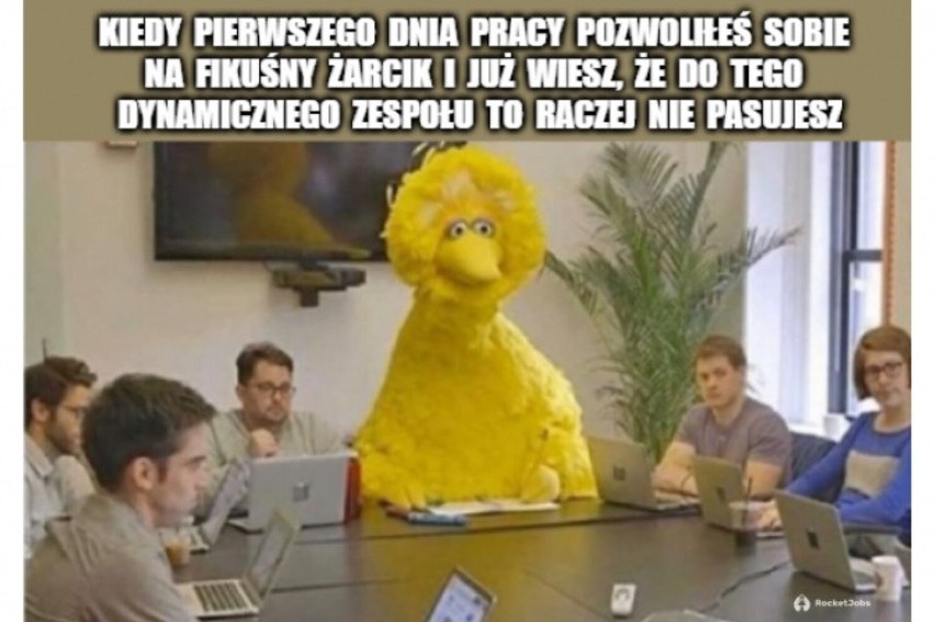 Tak Polacy drwią i szydzą ze swoich pracodawców. Mszczą się za niskie zarobki i szykany w pracy 27.02.2024