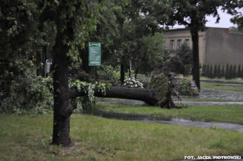 Pleszew po burzy 24.05.2014r.