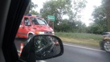 Wypadek w Borównie. Samochód osobowy uderzył w drzewo [zobacz zdjęcia]