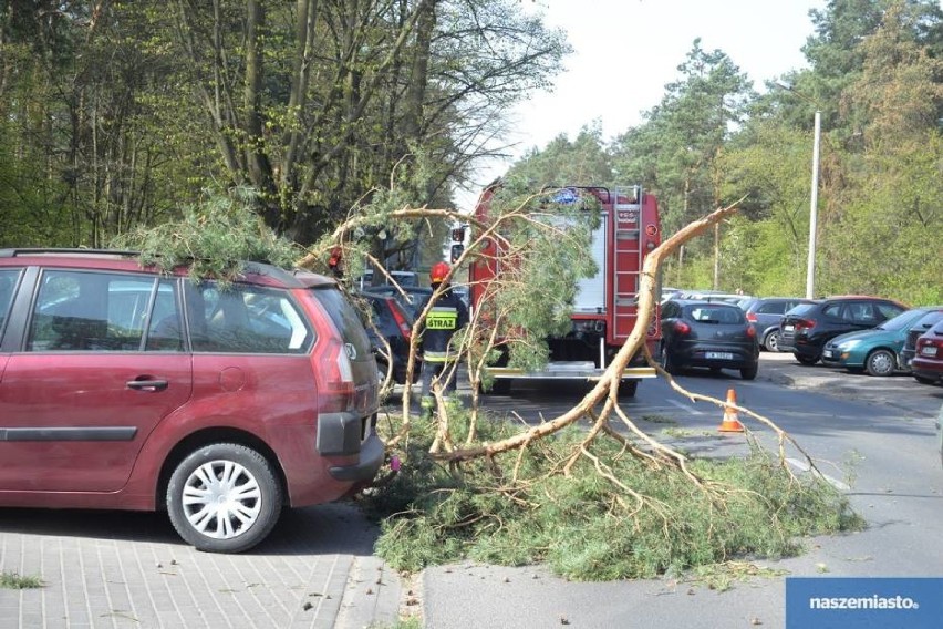 Pożary, powalone drzewa, uszkodzone budynki. 45 wyjazdów strażaków z Włocławka i powiatu włocławskiego [zdjęcia]